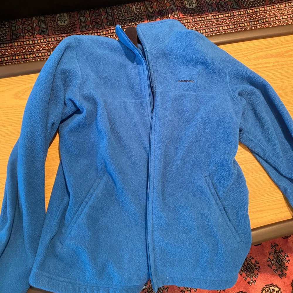 Patagonia blue fleece